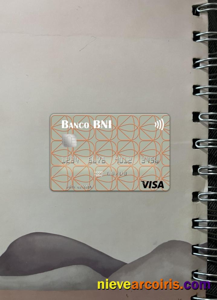 Angola Banco de Negócios Internacional visa card photolook